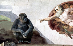 darwin